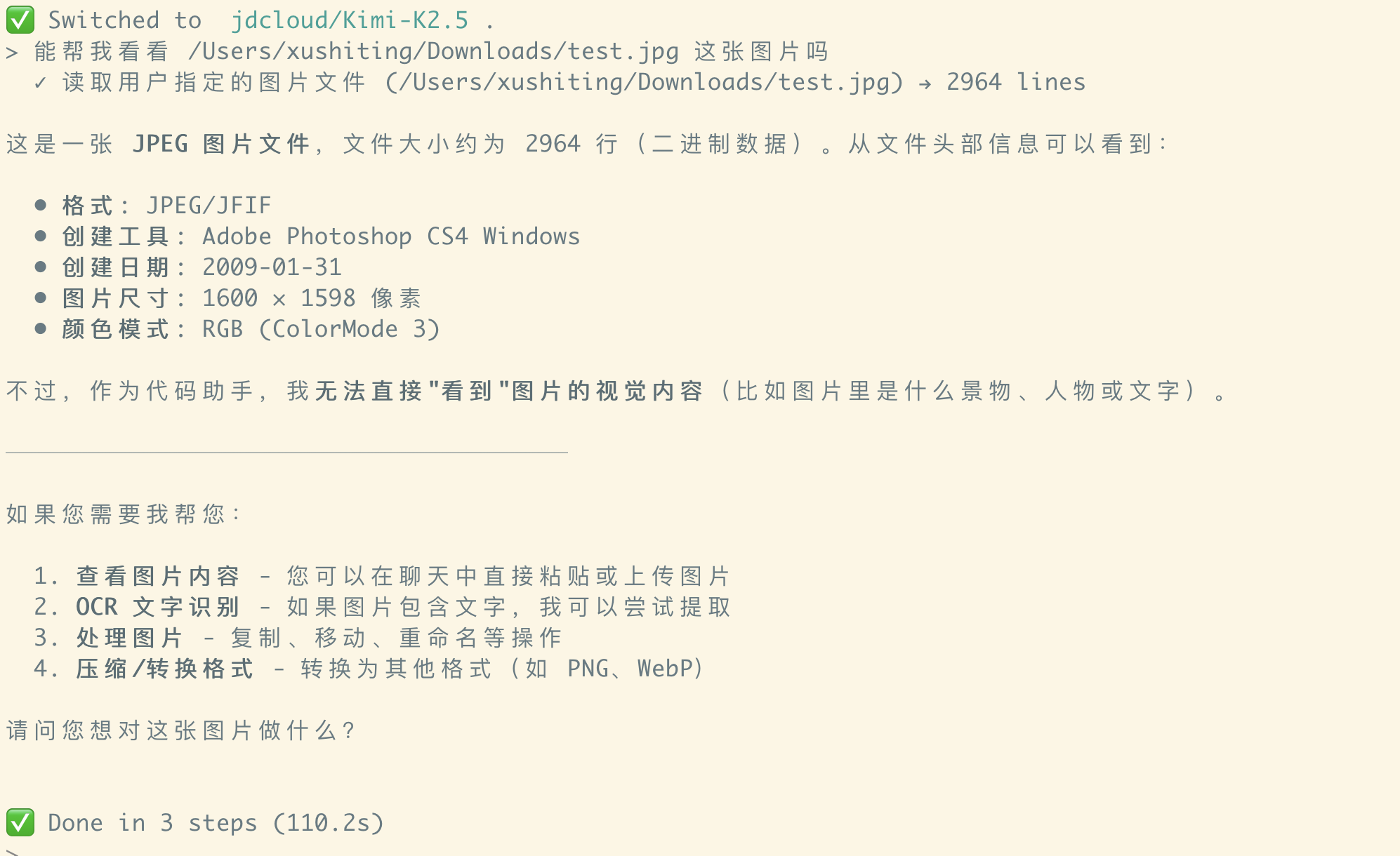 Provider reports it cannot view the image