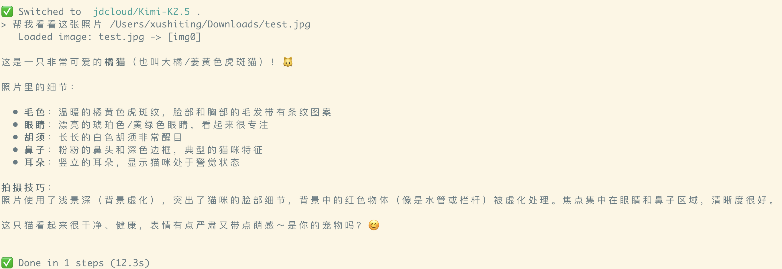 First implementation works — local image path is converted to a reference